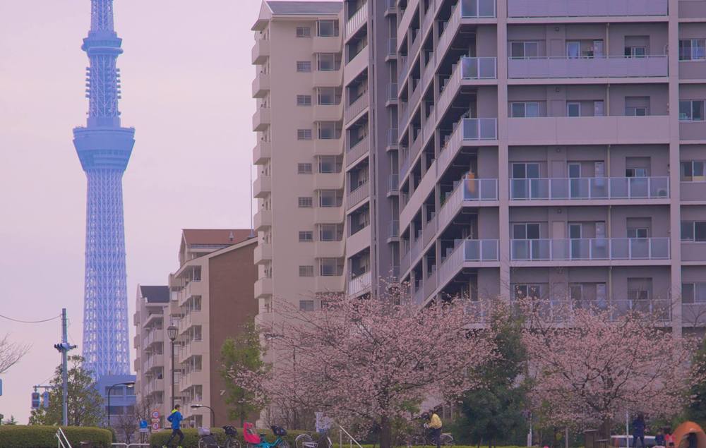 隅田川＆浅草コースの写真7