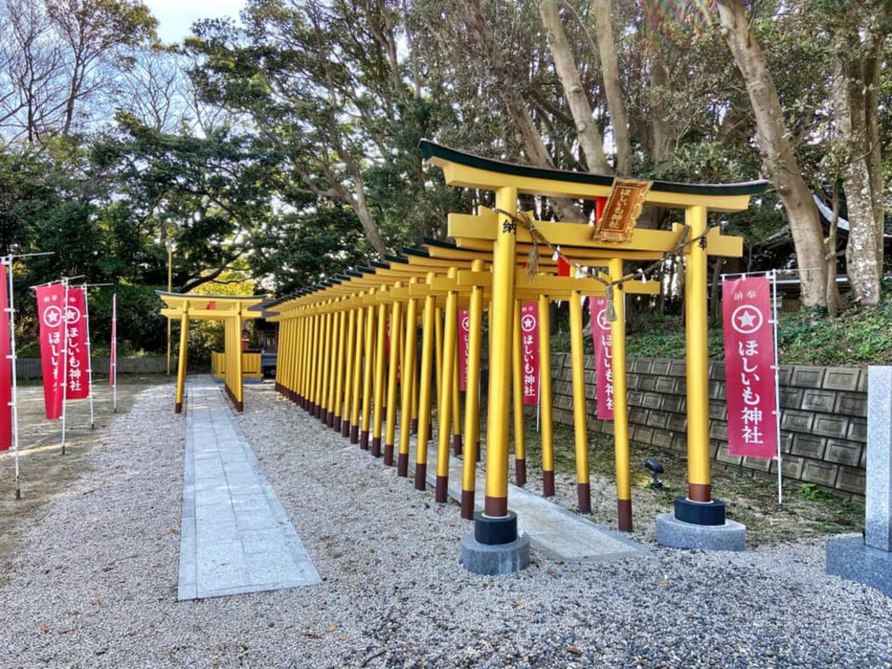 サザンビーチにも負けない風光明媚な海岸線30kmの写真5