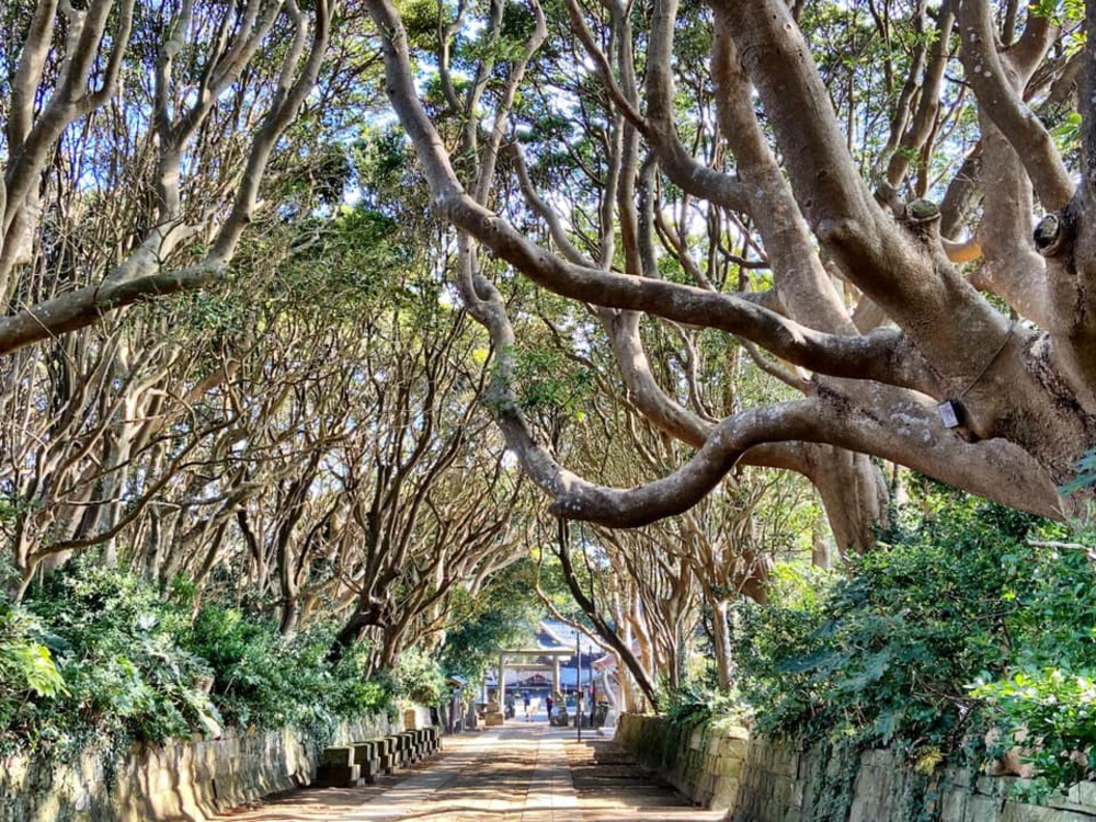 サザンビーチにも負けない風光明媚な海岸線30kmの写真7