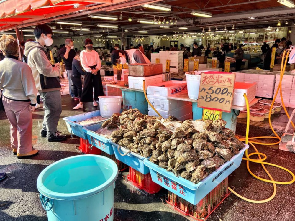 サザンビーチにも負けない風光明媚な海岸線30kmの写真9