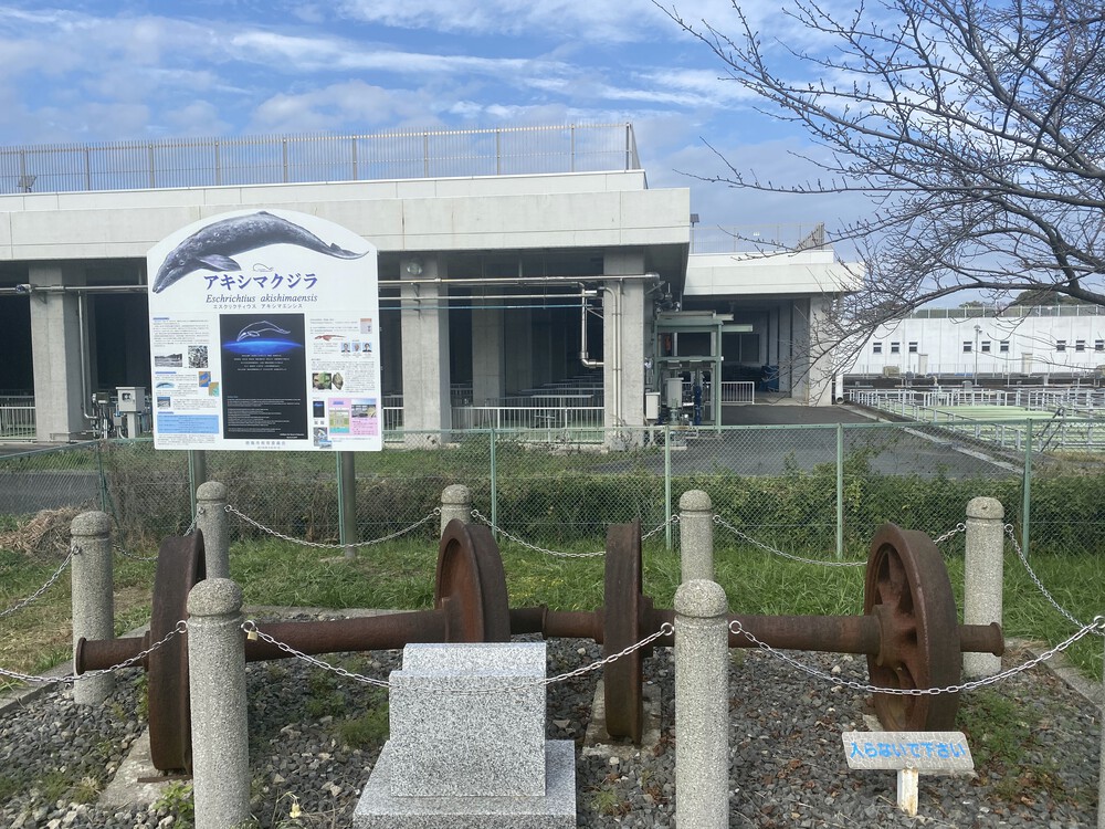 多摩川起点：羽村堰から稲城までの写真6