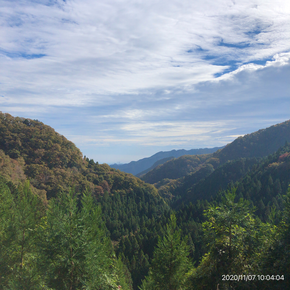 檜原村Run &Trail(払沢の滝入口→時坂峠→峠の茶屋ピストン)の写真4