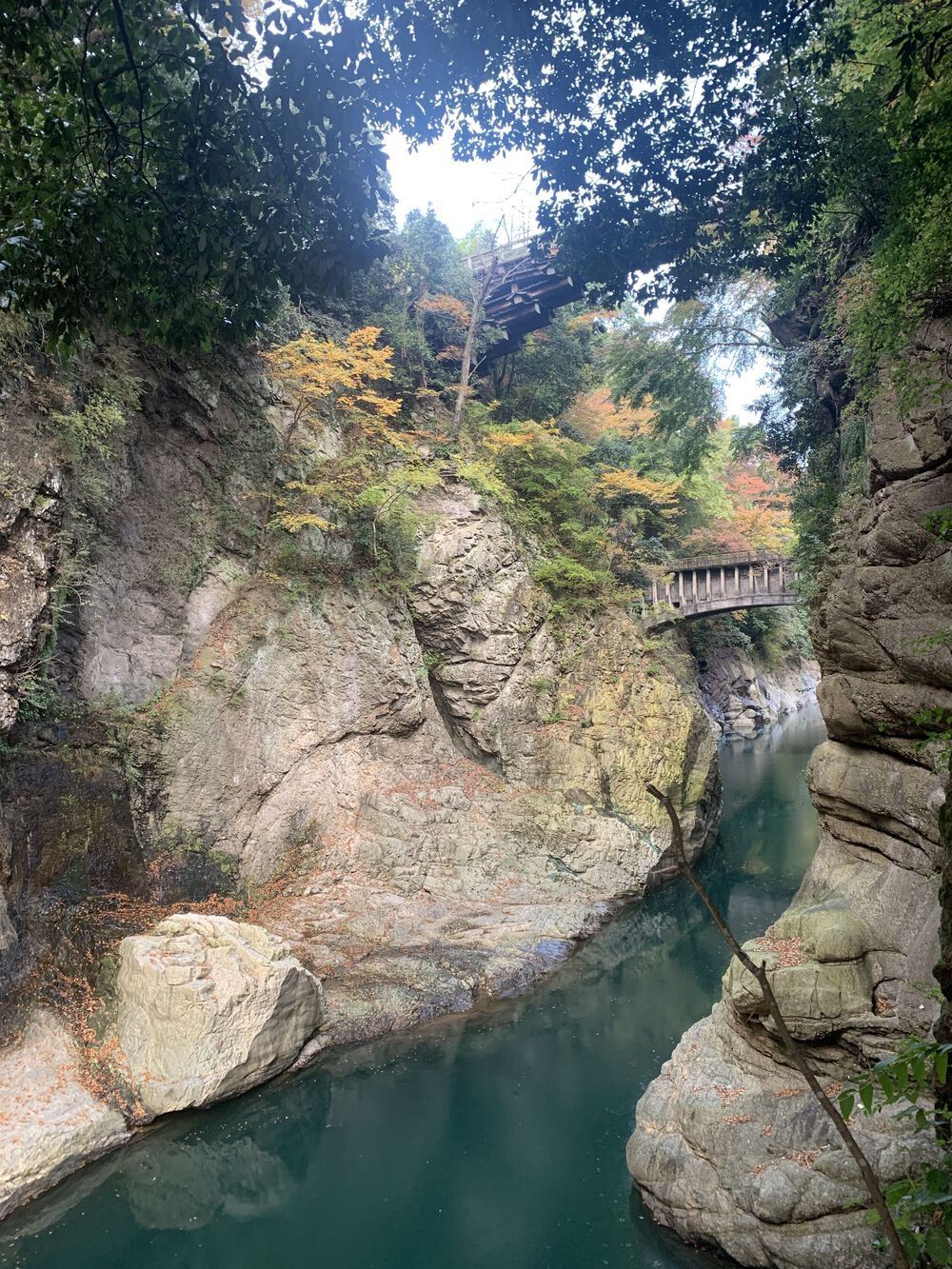 歌川広重と共にRUN 猿橋の写真3