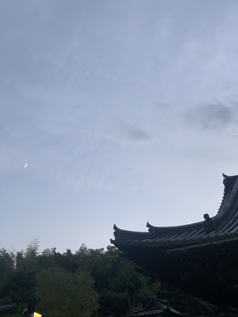 歌川広重と共にRUN 近江八景之内4/4石山秋月の写真5