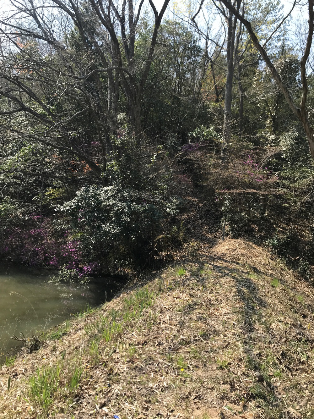 岡山市内から行ける周回コース（更新20240420）の写真3