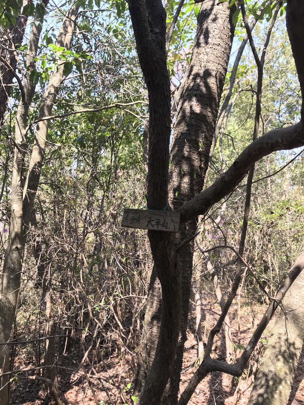 岡山市内から行ける周回コース（更新20240420）の写真5