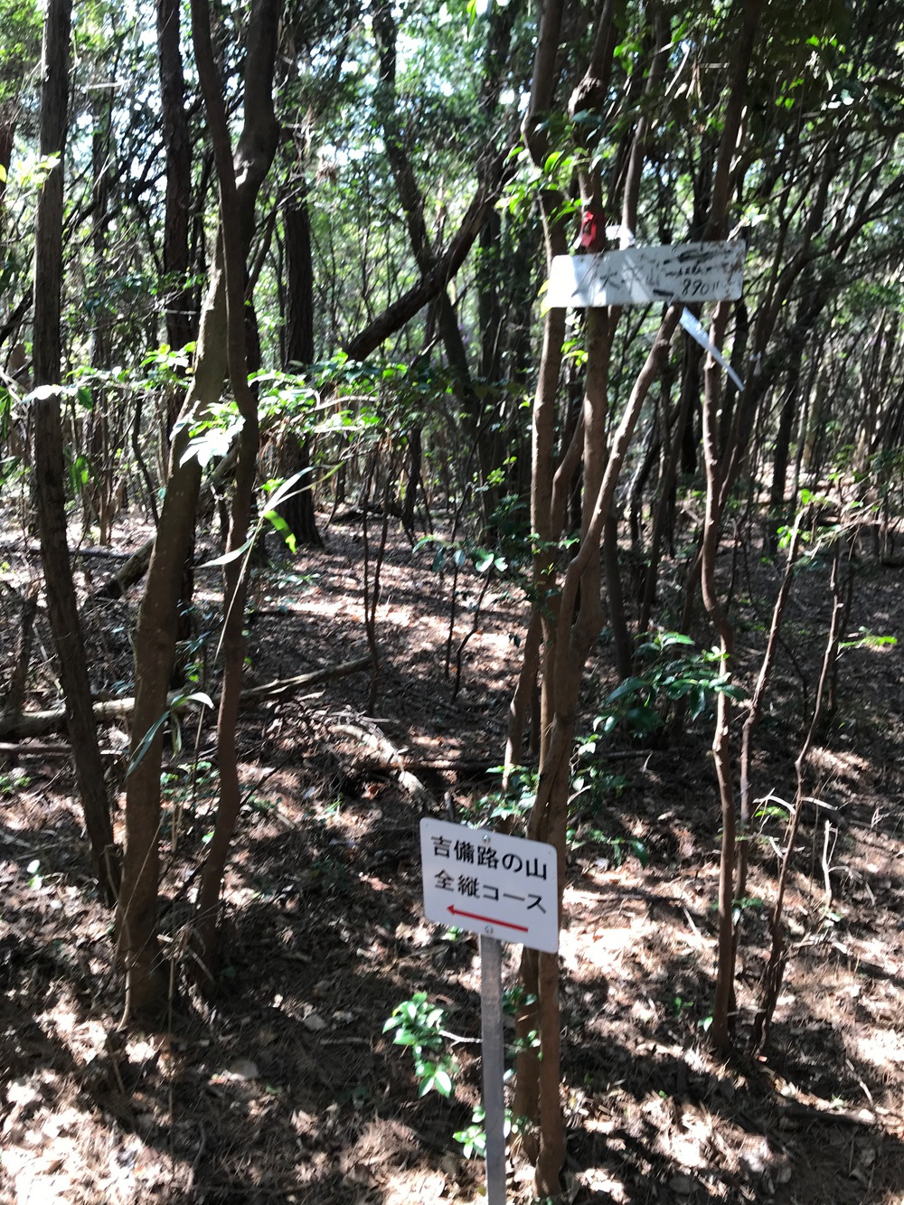 岡山市内から行ける周回コース（更新20240420）の写真7