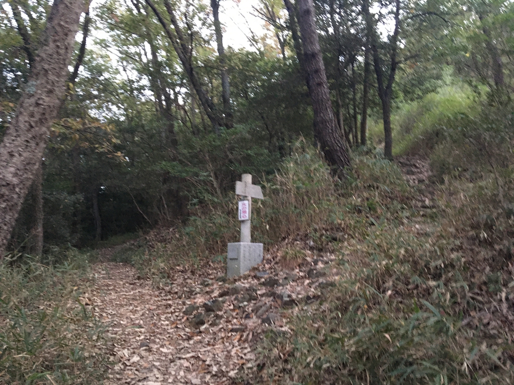 距離こそ短いが高低差が…の写真3