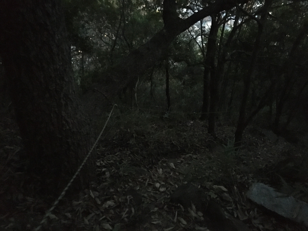 距離こそ短いが高低差が…の写真5