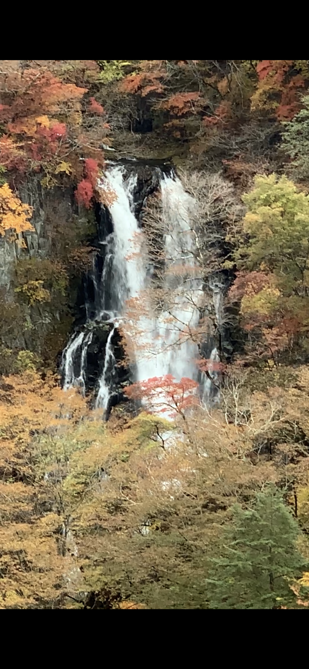 歌川広重と共にRUN 日光の写真4