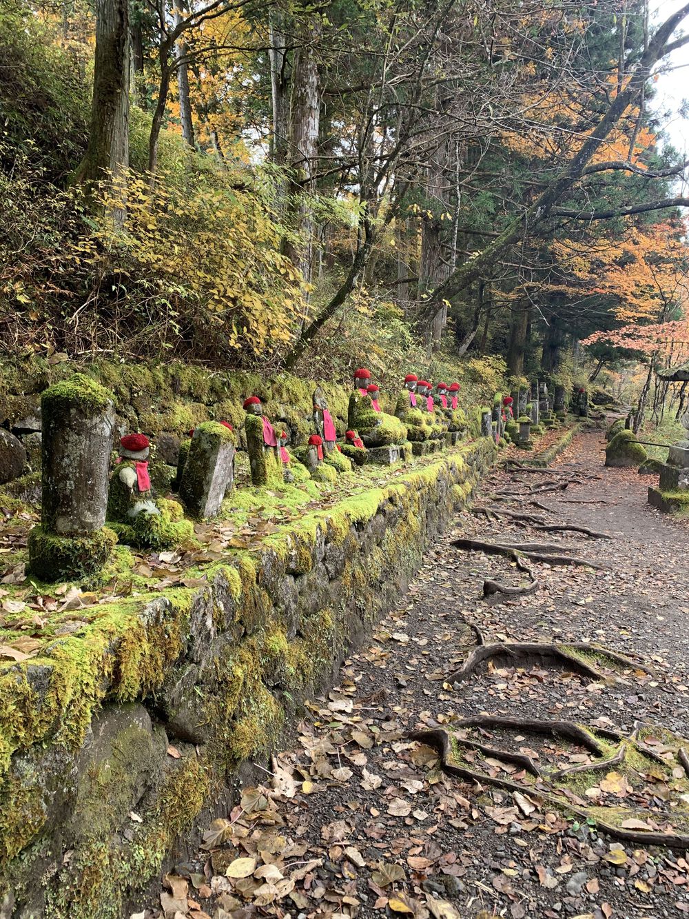 歌川広重と共にRUN 日光の写真6