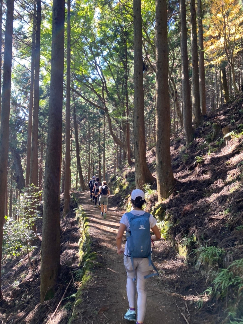 大山ラウンドトレイル ～紅葉と、鹿と、湧き水と～の写真6
