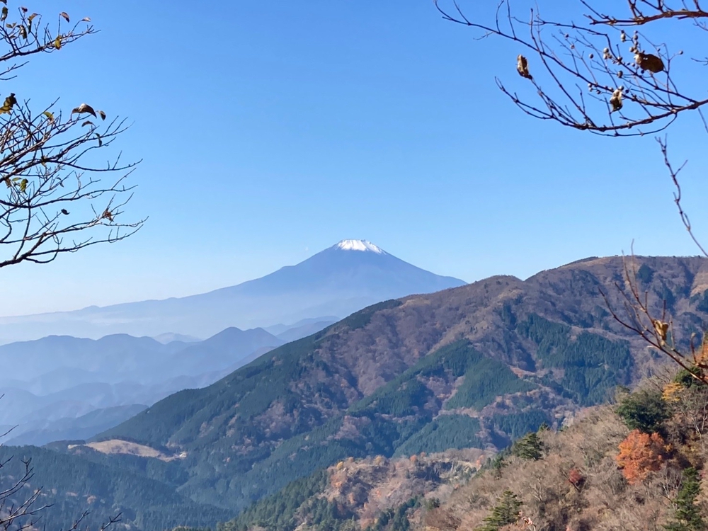 大山ラウンドトレイル ～紅葉と、鹿と、湧き水と～の写真7