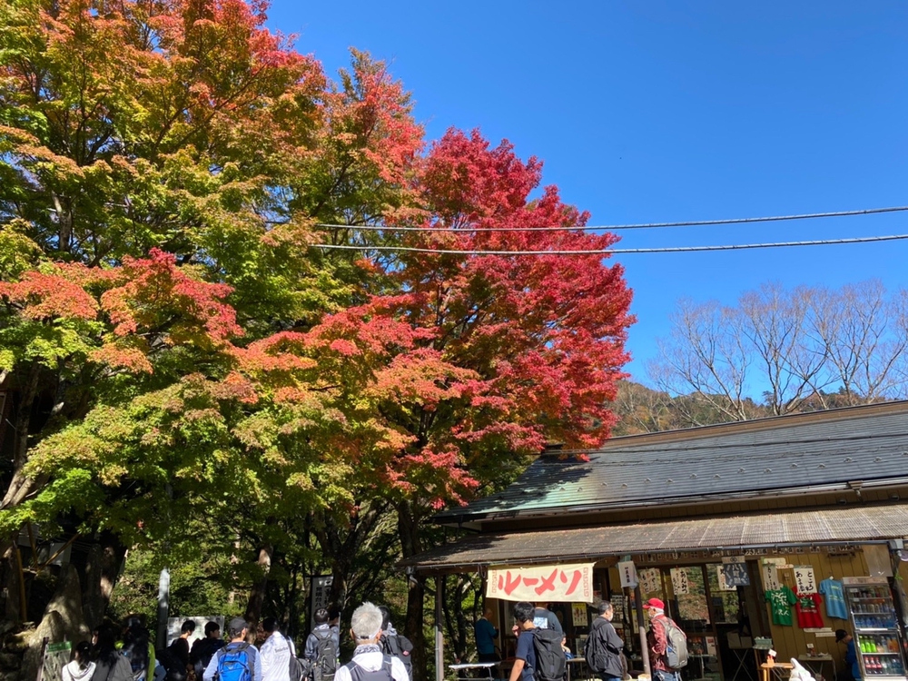 大山ラウンドトレイル ～紅葉と、鹿と、湧き水と～の写真9