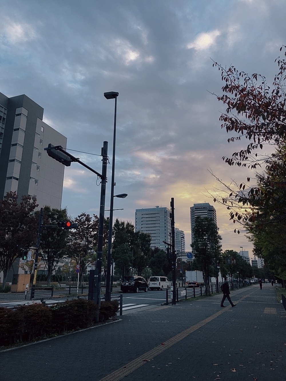 中野の新旧観光ランニングの写真3