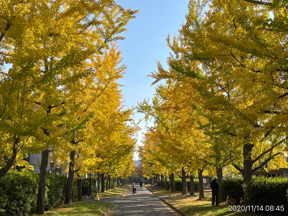 岡山市紅葉ジョグの写真3