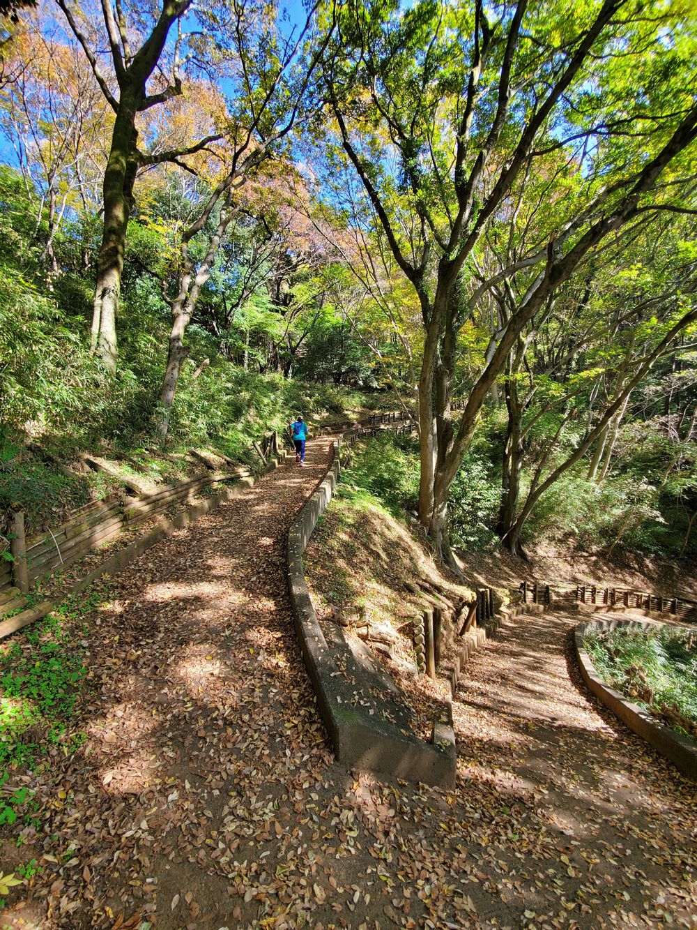 小野小町RUN🏃‍♂️🏃‍♀️💨の写真3