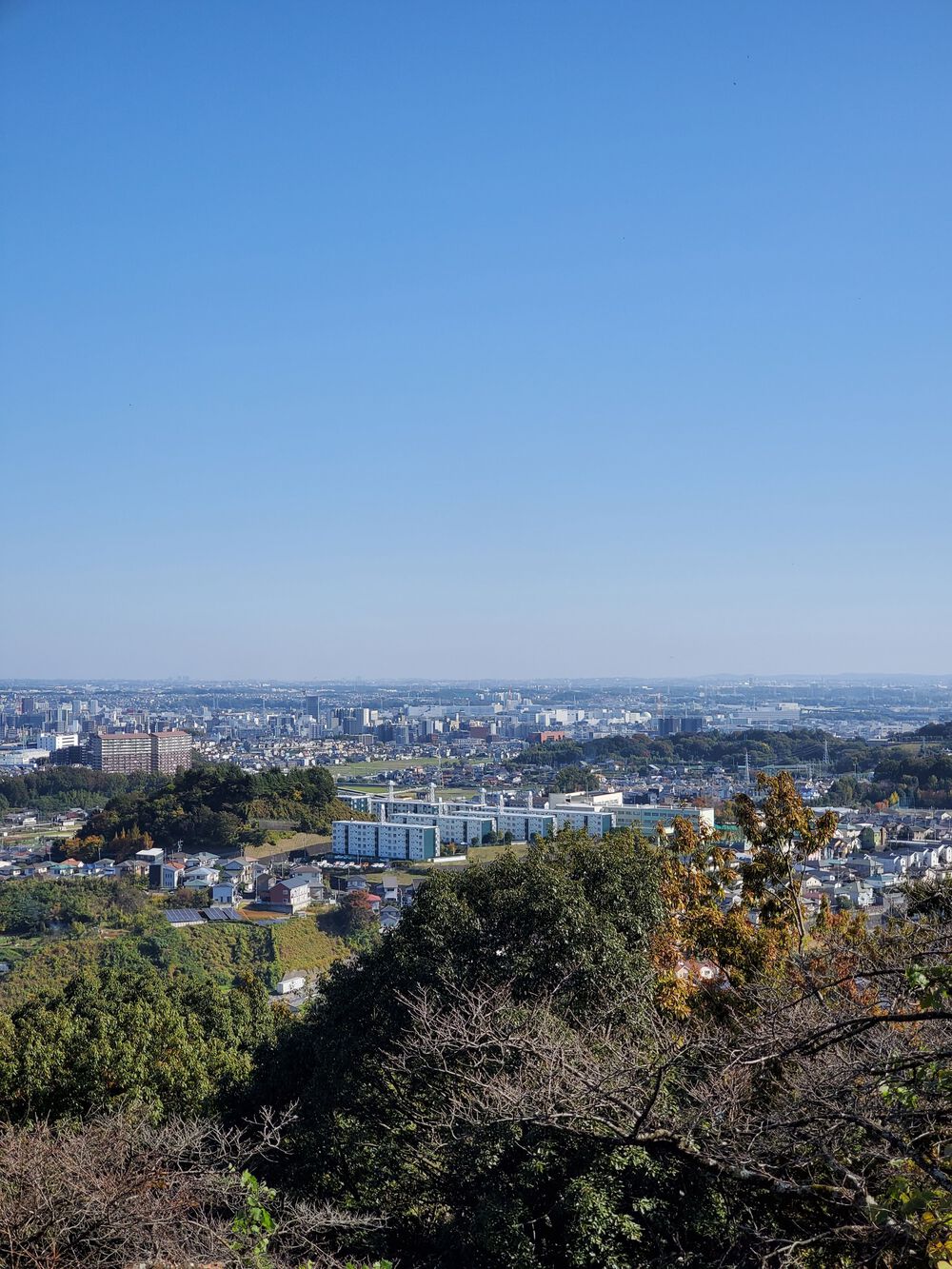 小野小町RUN🏃‍♂️🏃‍♀️💨の写真4