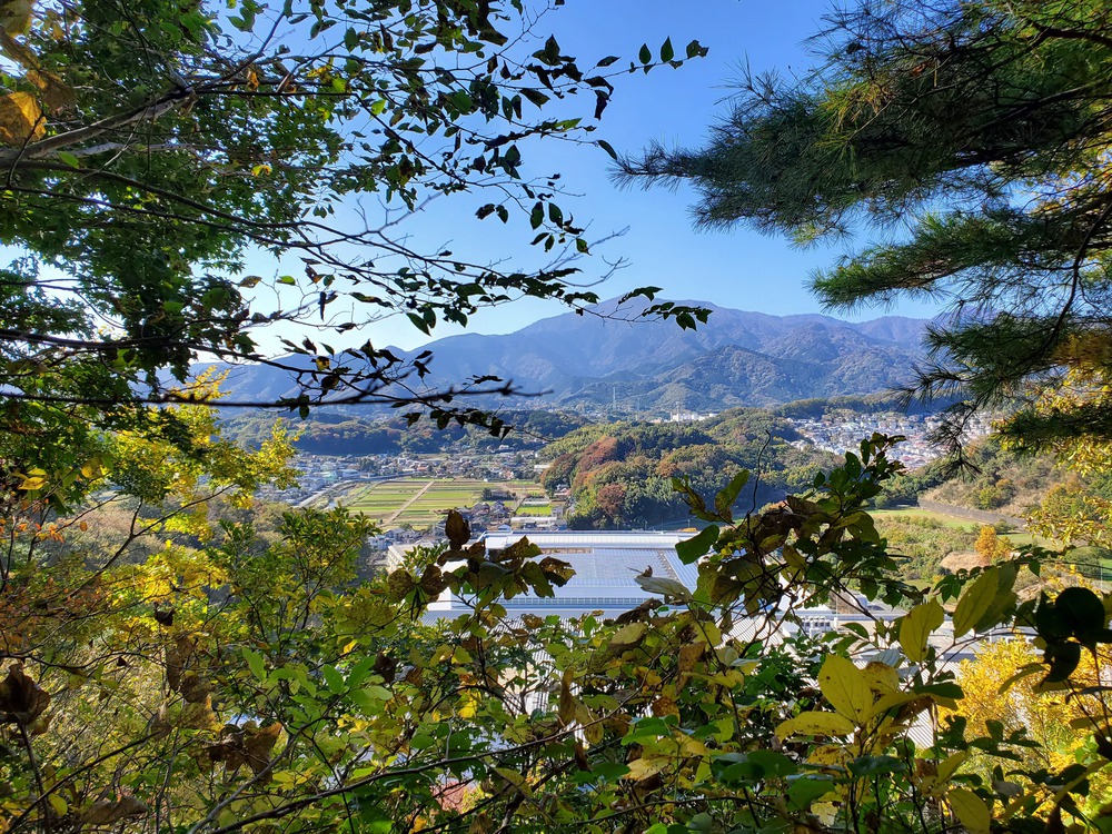 小野小町RUN🏃‍♂️🏃‍♀️💨の写真5