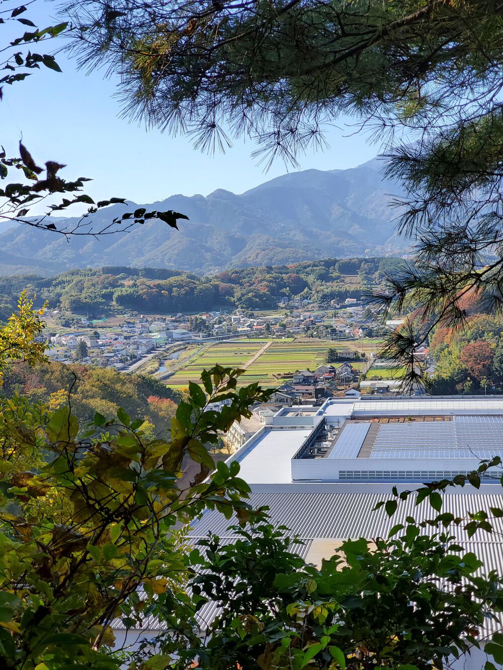 小野小町RUN🏃‍♂️🏃‍♀️💨の写真6