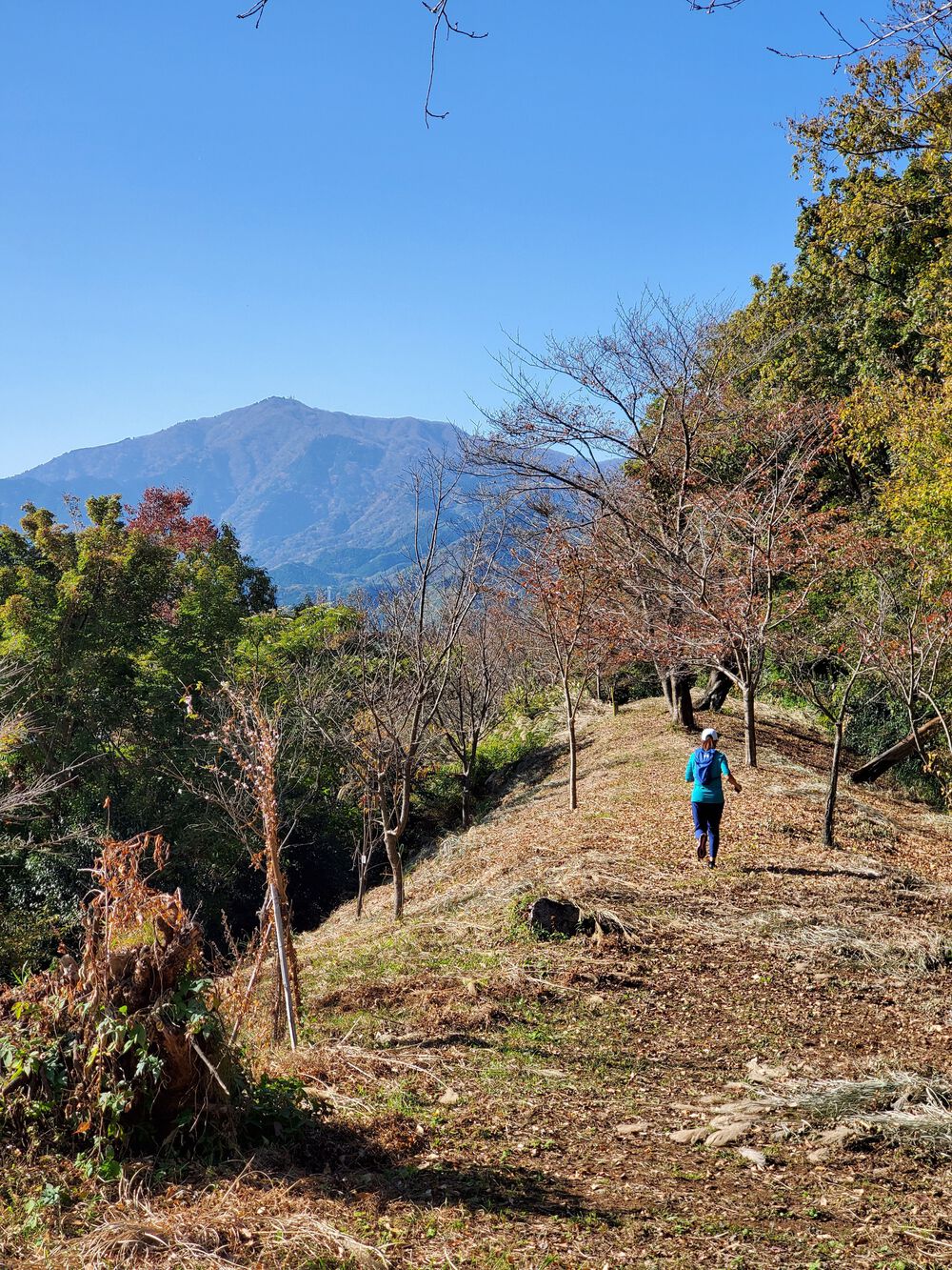 小野小町RUN🏃‍♂️🏃‍♀️💨の写真7