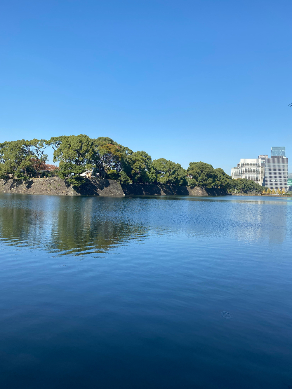 東京観光ラン(アキバ-銀座-東京タワー-東京駅-アキバ)の写真6