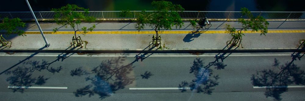 沖縄・奥武山総合運動公園の写真3