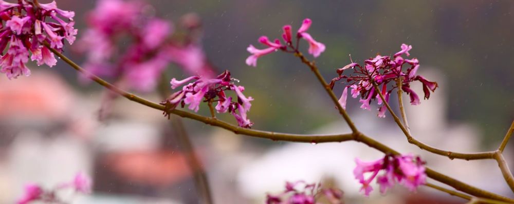 沖縄・奥武山総合運動公園の写真6