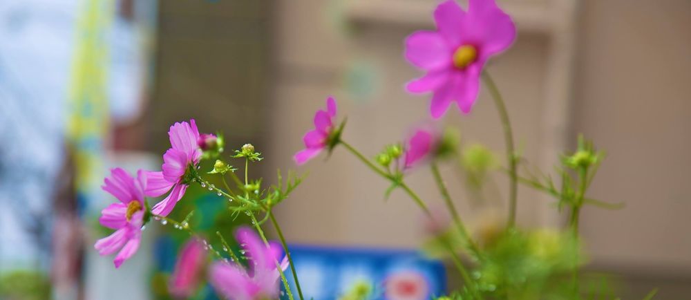 沖縄・奥武山総合運動公園の写真7