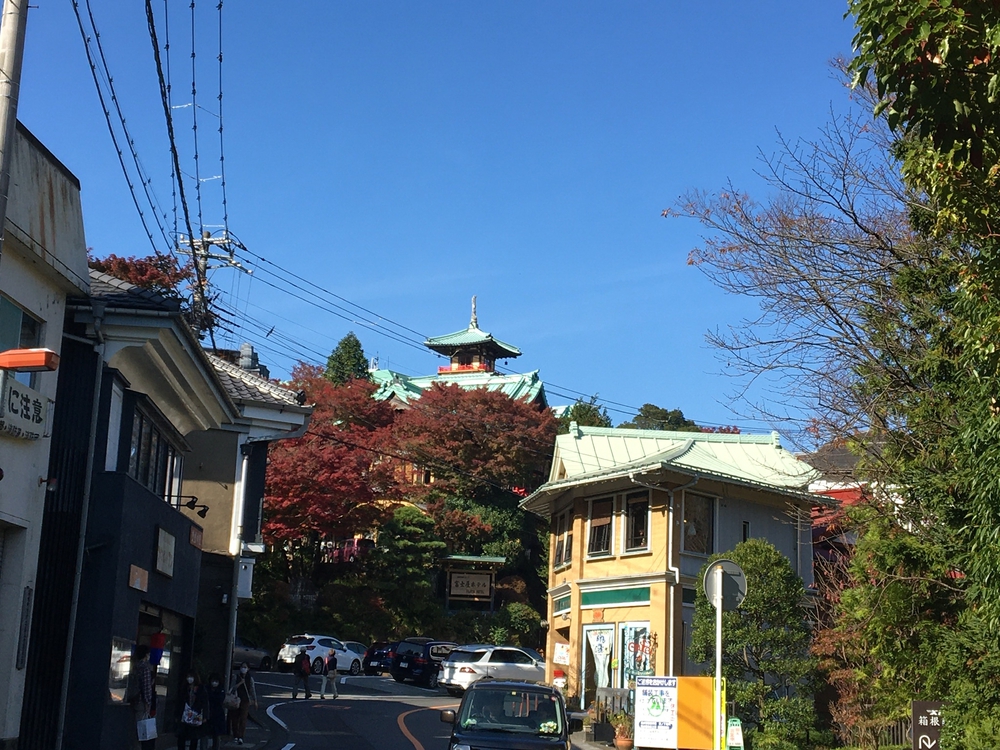 箱根五区の後半 (大平台〜芦ノ湖)の写真7