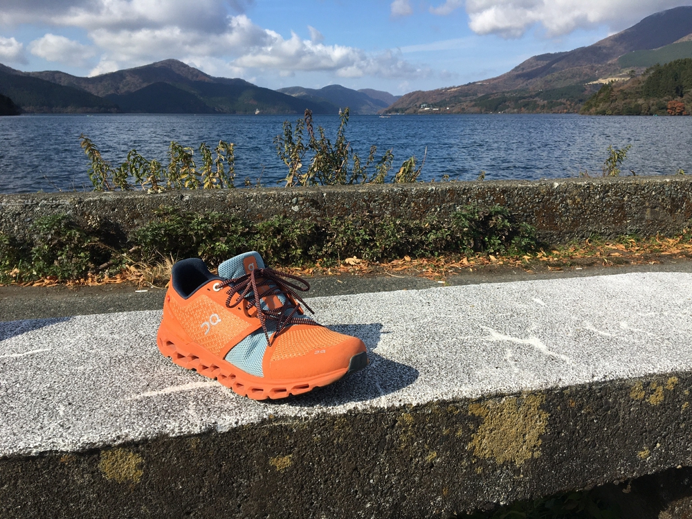 箱根五区の後半 (大平台〜芦ノ湖)の写真13