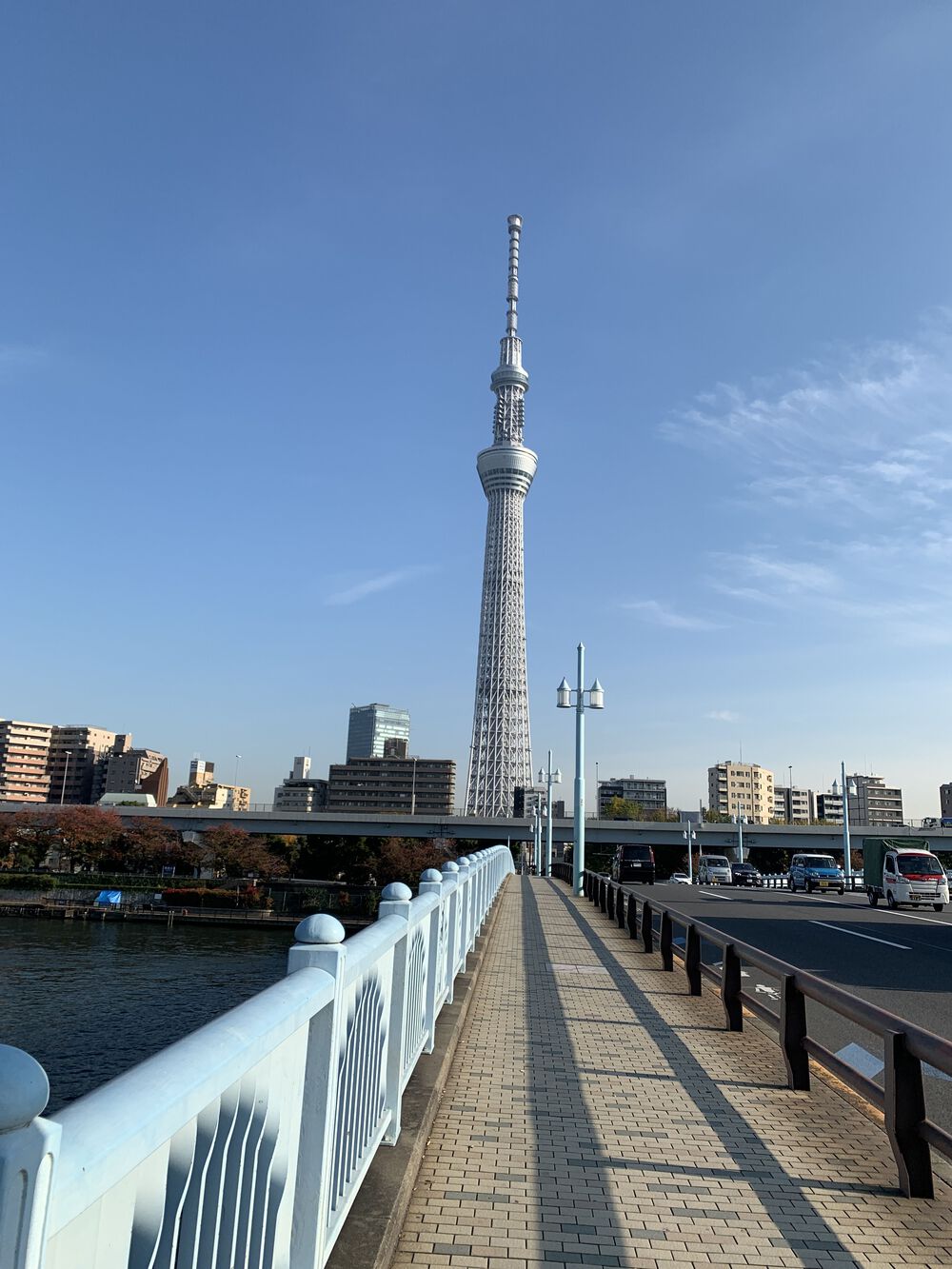 歌川広重と共にRUN 向島の写真3