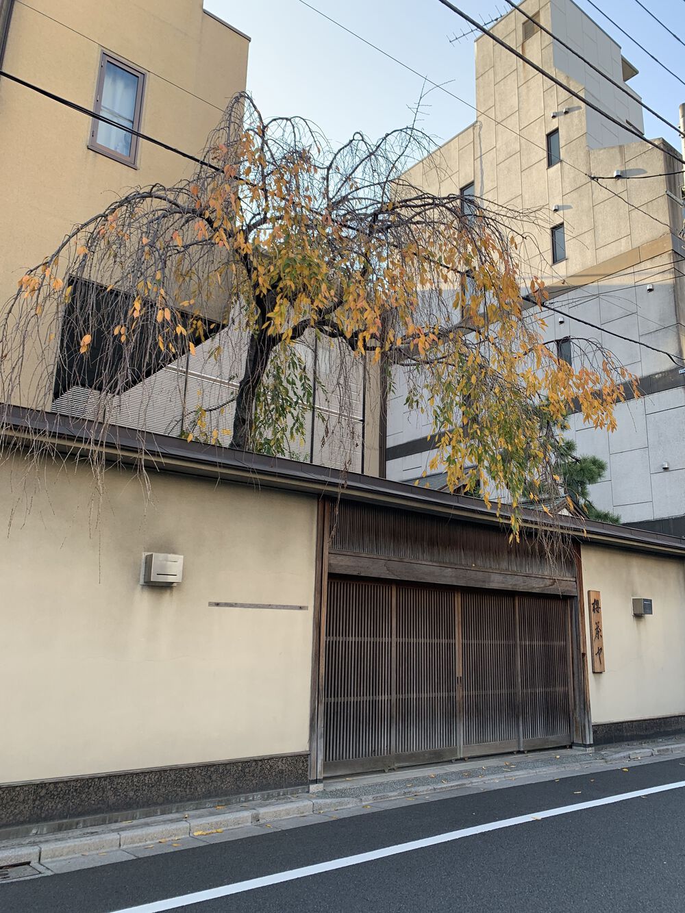 歌川広重と共にRUN 向島の写真4