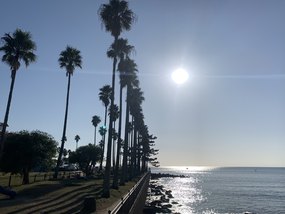 マリーナへGo☺︎湘南海岸16kの写真3