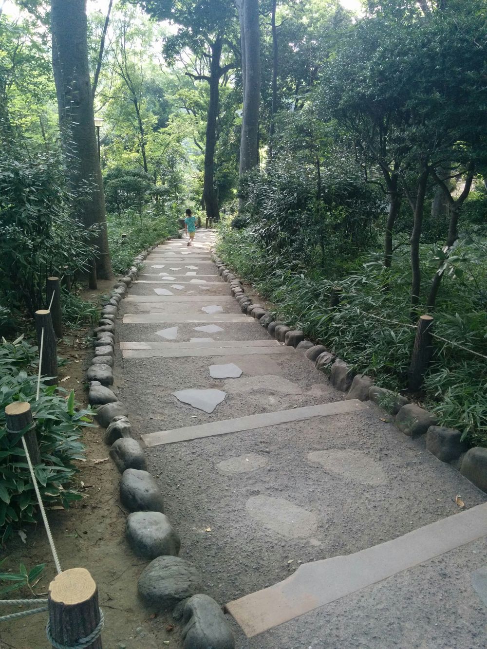 都心で起伏のあるレアなコース・有栖川公園の写真3