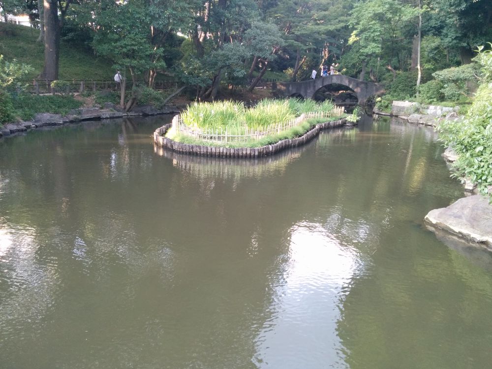 都心で起伏のあるレアなコース・有栖川公園の写真4