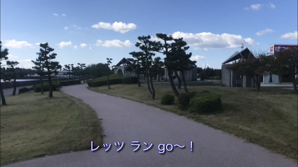 16km、一直線の海岸沿いサイクリングロードの写真7