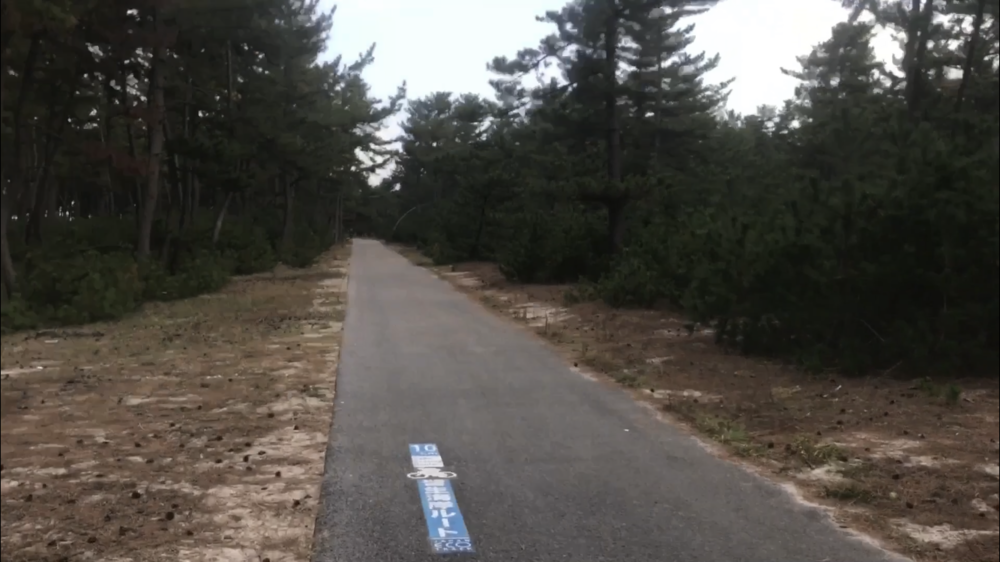 16km、一直線の海岸沿いサイクリングロードの写真15