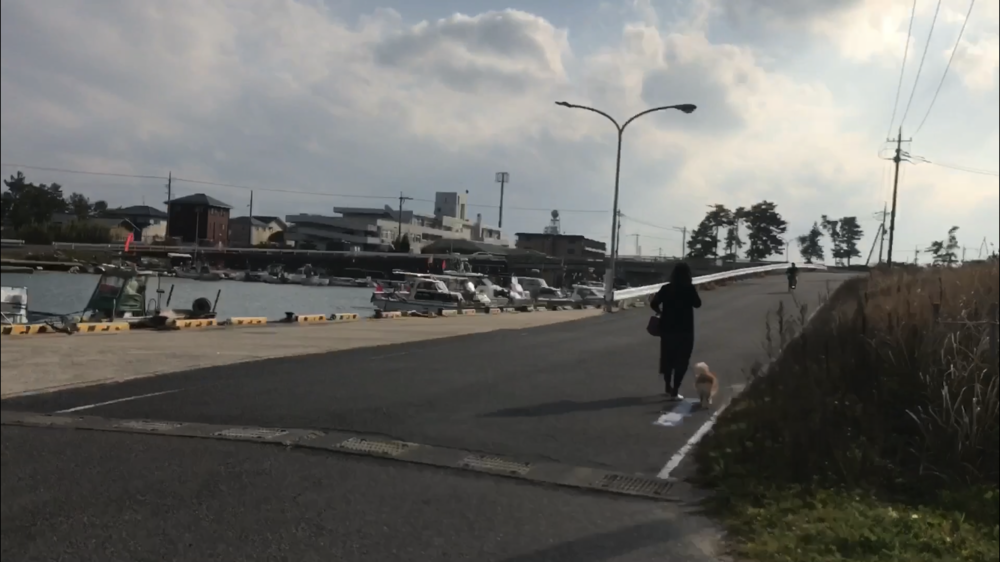 16km、一直線の海岸沿いサイクリングロードの写真20