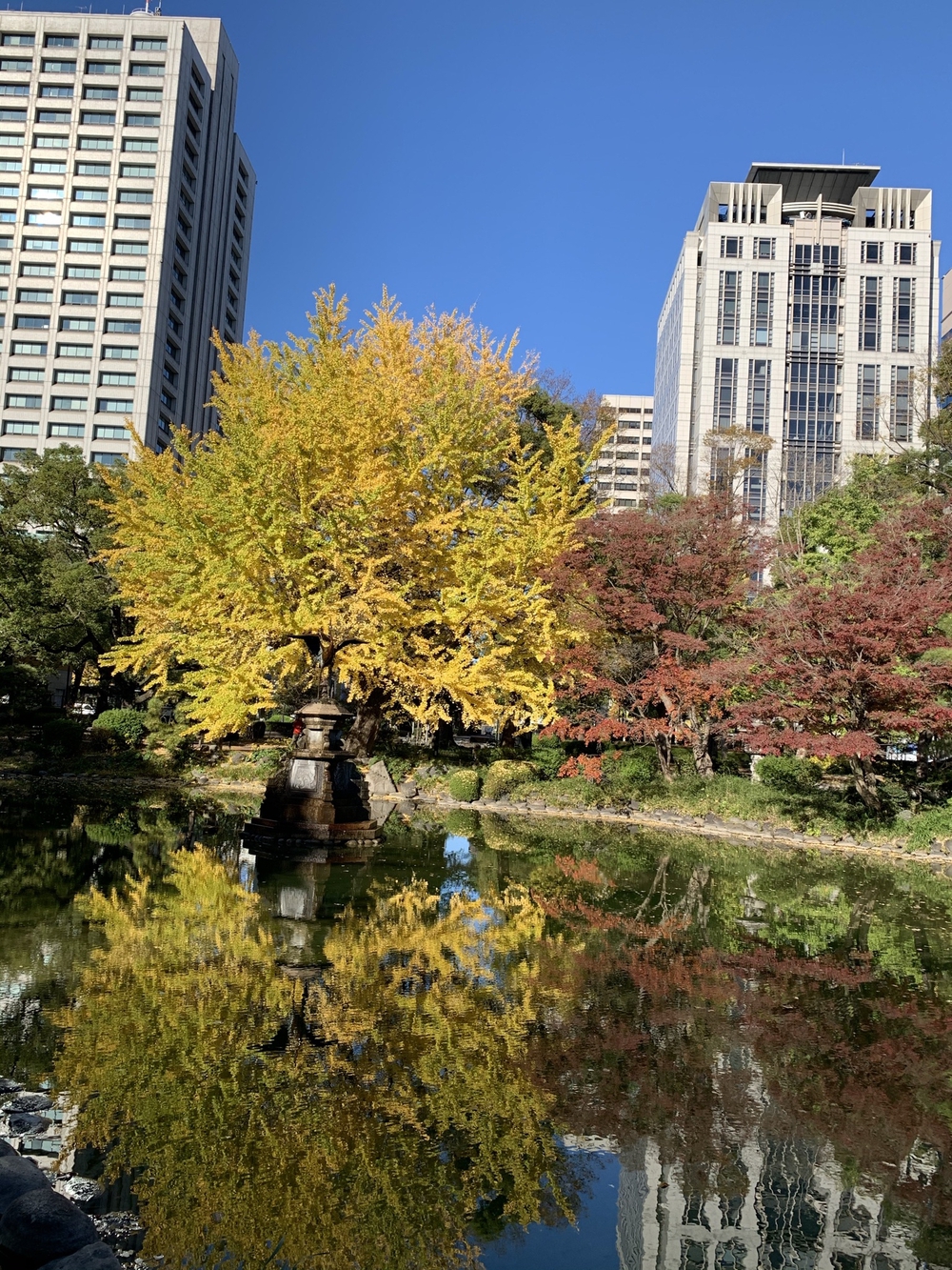 浜離宮　紅葉ランの写真4