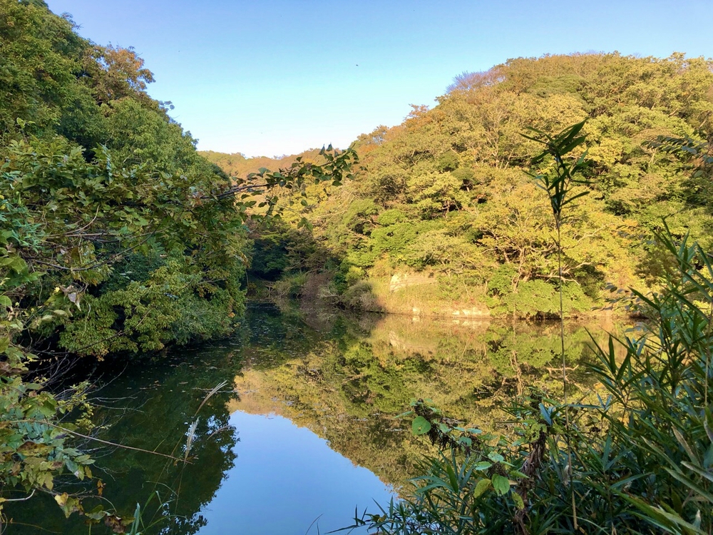 逗子トレイル〜やまなみルートを走る〜の写真4