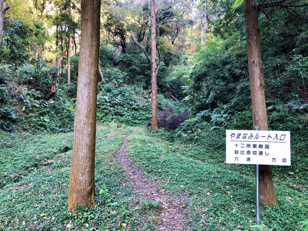 逗子トレイル〜やまなみルートを走る〜の写真5