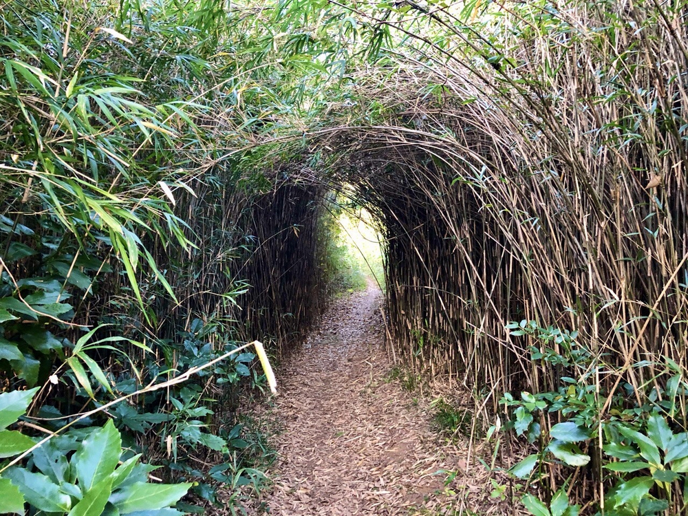 逗子トレイル〜やまなみルートを走る〜の写真6