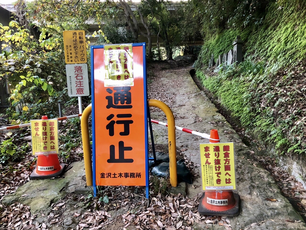 逗子トレイル〜やまなみルートを走る〜の写真11