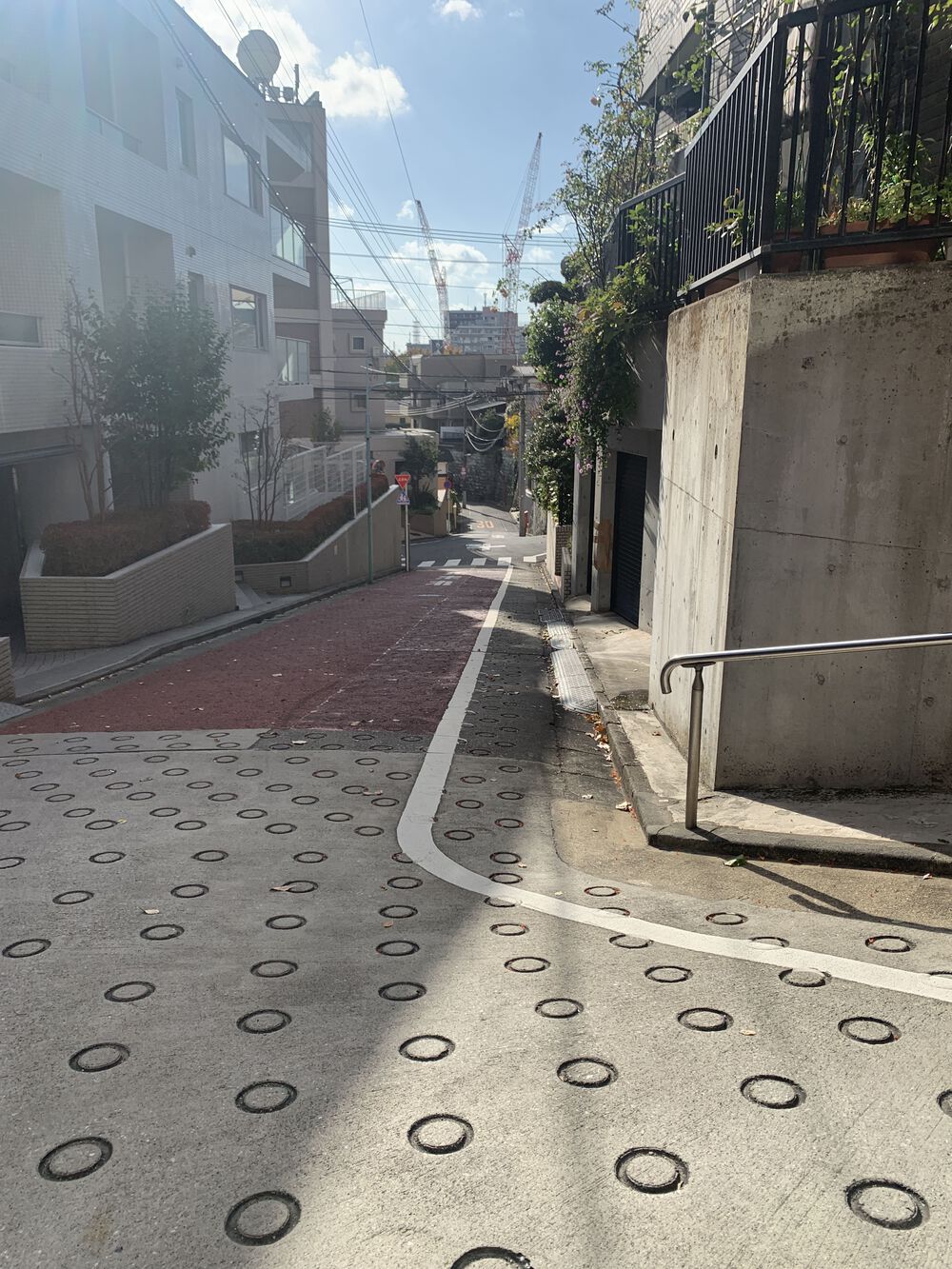 歌川広重と共にRUN 目黒川〜目黒坂の写真3