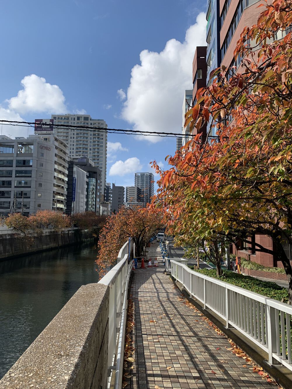 歌川広重と共にRUN 目黒川〜目黒坂の写真5