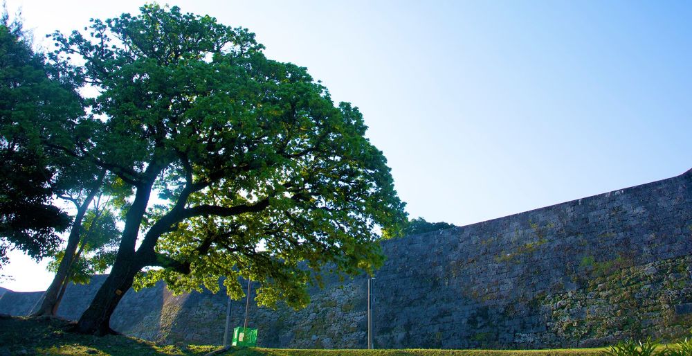 グスクの象徴・首里城と首里城公園の写真3