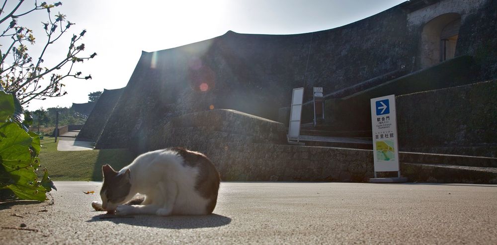グスクの象徴・首里城と首里城公園の写真5