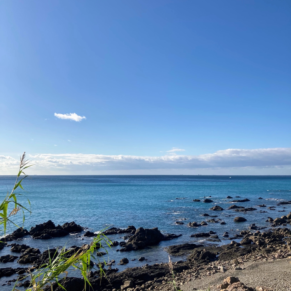 海沿いのゆるやかアップダウンの写真3