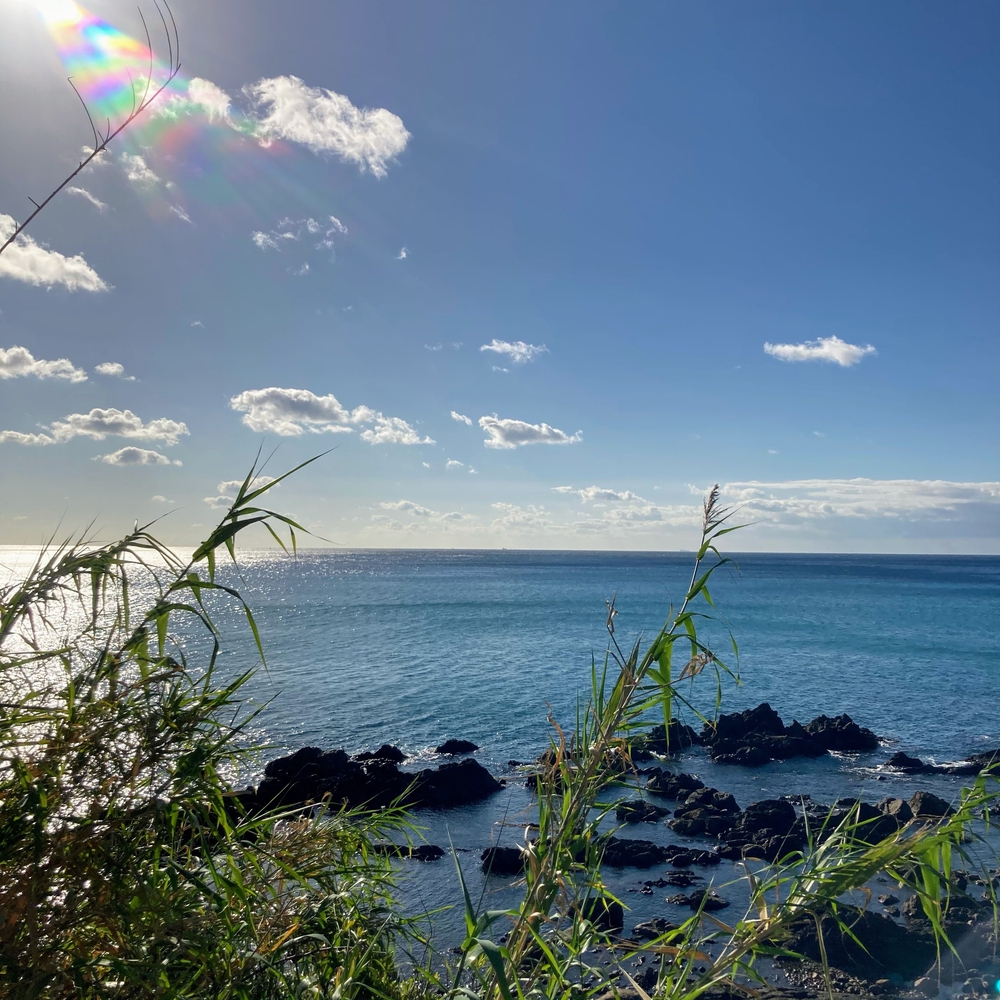 海沿いのゆるやかアップダウンの写真4